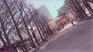 【札幌大通】すっかり春らしく...？