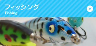 フィッシング