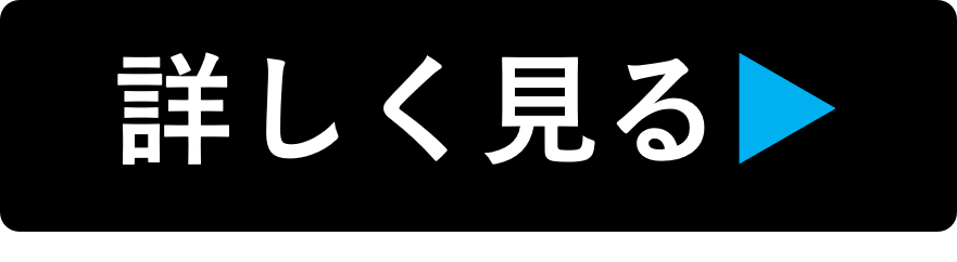 詳しく見る (1).PNG