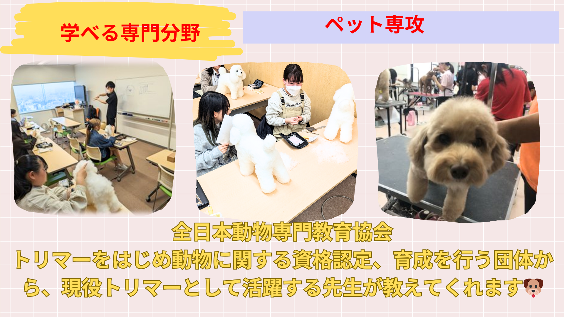 アプローチブック (2).png