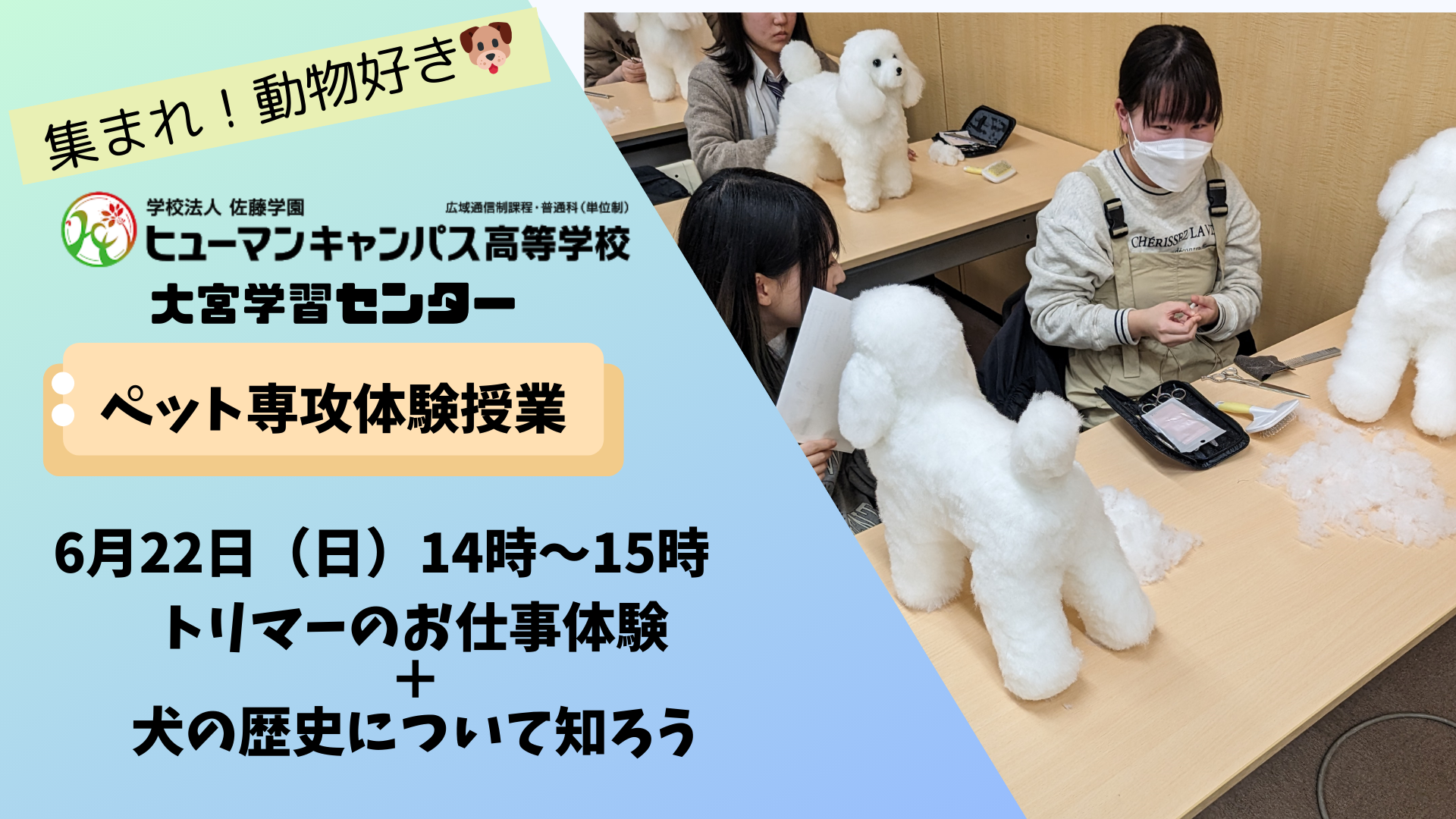 ペット選考体験用0622.png