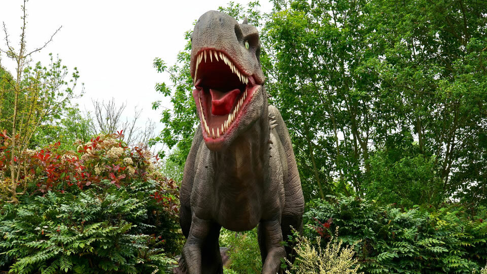 学びのポイント01