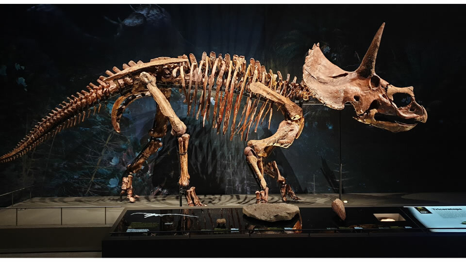 学びのポイント02