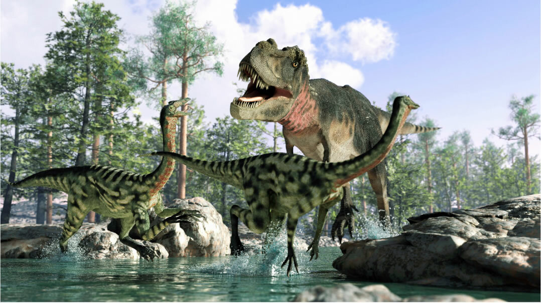 君の「好き」を、未来の学びに！<br>古生物学が、世界の味方を変える！