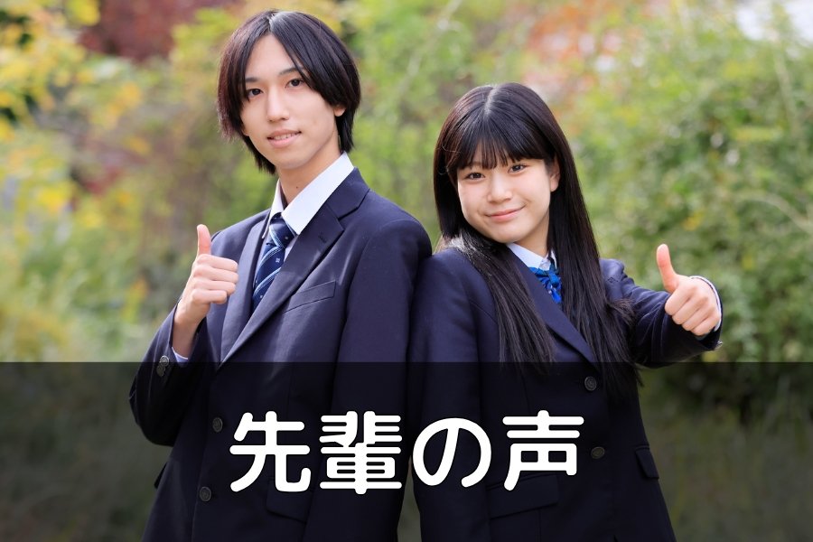 先輩の声