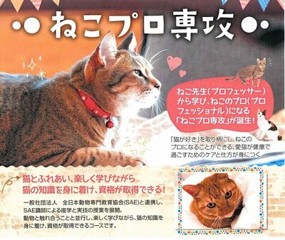 新潟の通信制高校ならヒューマンキャンパスのぞみ高校 新潟学習センター
