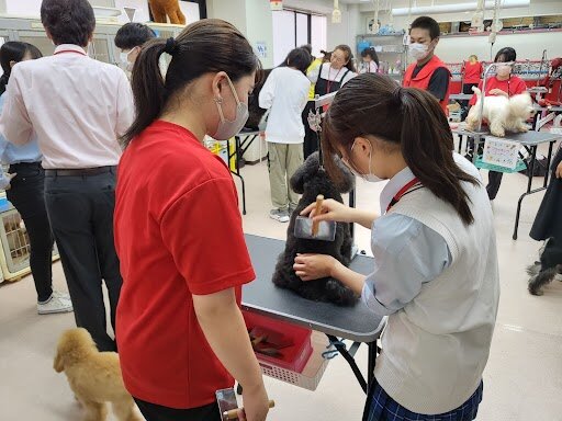 2023.8 ペット校外学習 (3).jpg