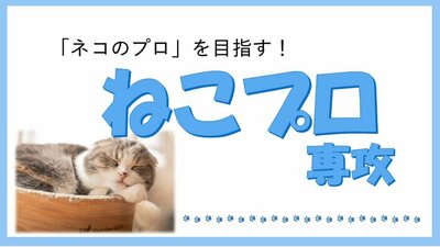 【川崎】ねこプロ専攻🐱　体験授業