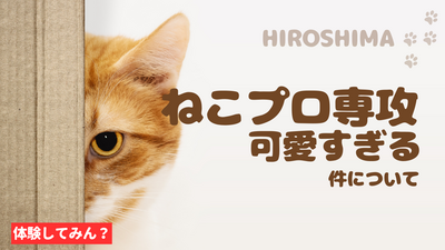 【広島】8/2『ねこプロ専攻』動物・ねこ好き集まれ～😸
