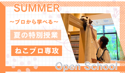 【岡山】08/02（土）《特別⭐体験授業》『ねこプロ』～ねこ好きあつまれ～