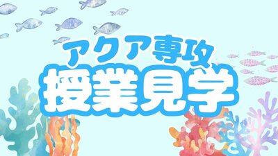 アクア専攻授業見学＆学校説明会