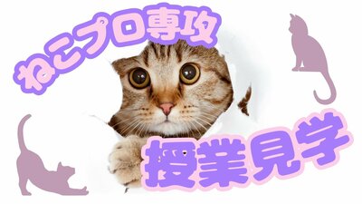 ねこプロ_授業見学.jpg