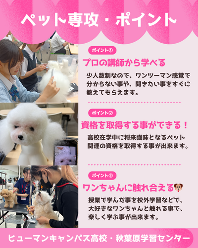 ペット専攻　個別相談会.png