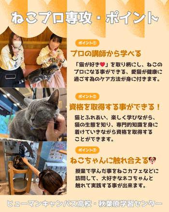 ねこプロ専攻　個別相談会.png