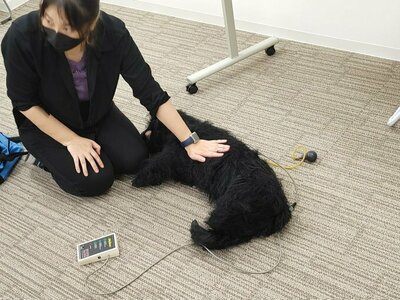 【秋葉原】命を守る技術、学びました('ω')ノ