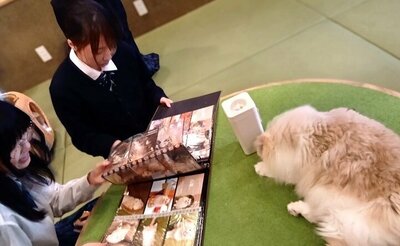 この③.JPG