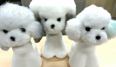 【秋葉原】『ペット専攻☆彡』～教材のご紹介～