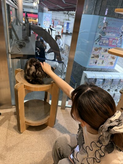 2025.8.８ ねこカフェ (4).jpg