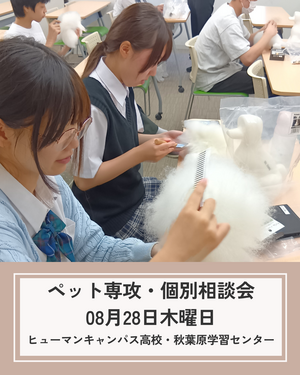 08/28（木）【秋葉原】🐈『ペット専攻』個別説明会