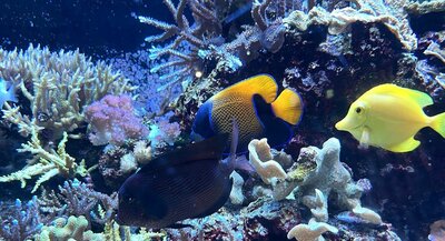 ☆アクア専攻☆水族館見学に行きました！～その①～
