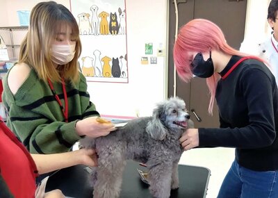 ペット (3).JPG