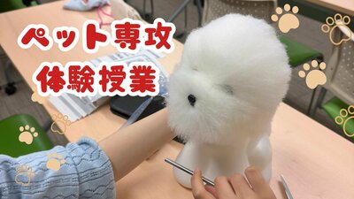 ペット授業 (プレゼンテーション).jpg