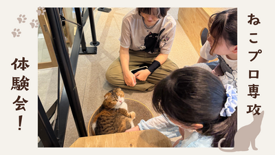 ねこカフェに行きました。 (プレゼンテーション) (1).png