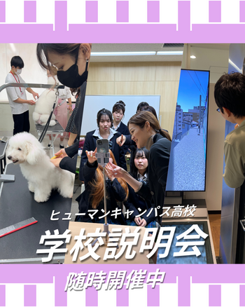 【秋葉原】個別学校説明会開催！！