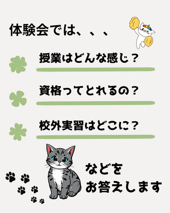 ねこ　体験会 (3).png