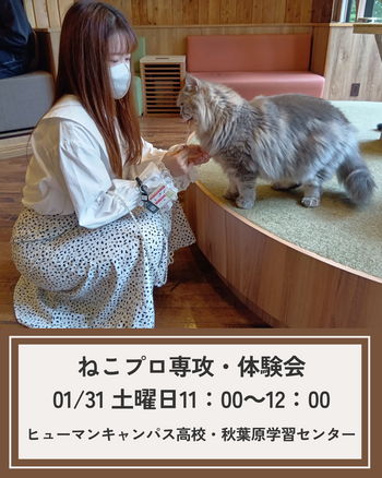 ねこ　体験会 (2).png