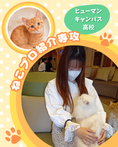 ねこプロ専攻 (1).png