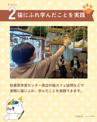 ねこプロ専攻 (3).png