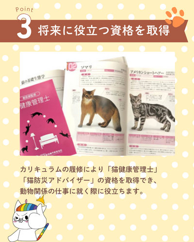 ねこプロ専攻 (4).png