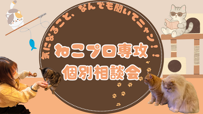 ねこプロ専攻 体験授業.png