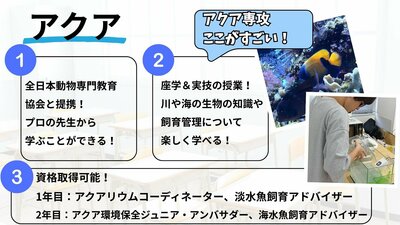 APブック.jpg