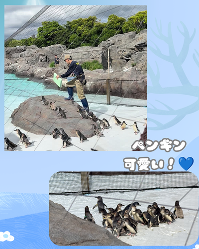アクア専攻.png