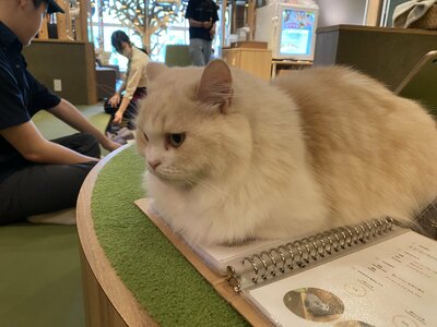 2026.8.20 ねこプロ校外学習 (1).JPG