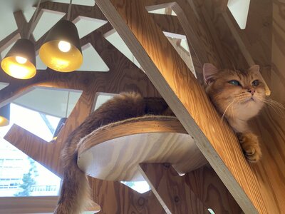 2026.8.20 ねこプロ校外学習 (17).JPG