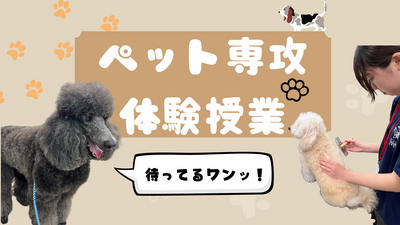 ペット専攻体験授業.png