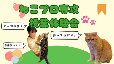 ねこプロ専攻 体験授業.png
