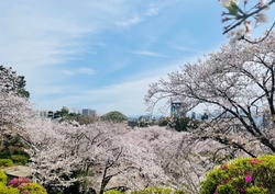 【福岡】明日より新年度が始まります❀