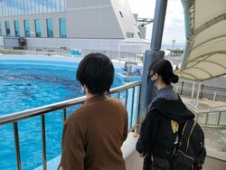 【福岡第二】水族館1224②.jpg