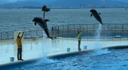 【福岡天神】バスハイクに行ってきました！～マリンワールド海の中道編～