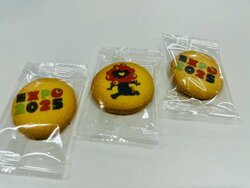 【福岡天神】生とお土産0511.jpg