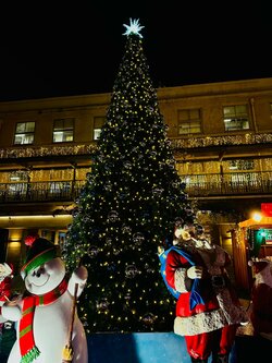 【福岡天神】校舎近くのイルミネーション！🎄