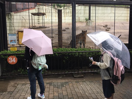 【福岡】マンガ・イラストコース動物園絵画実習★