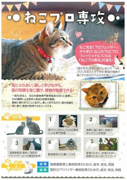 【福岡】ねこプロマスター🐈