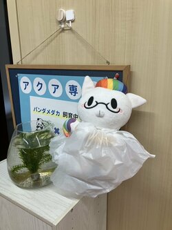 line_oa_chat_250522_163639.jpg
