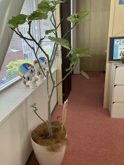 【福岡】成長してます🌱✨