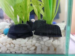【福岡】赤ちゃん❗
